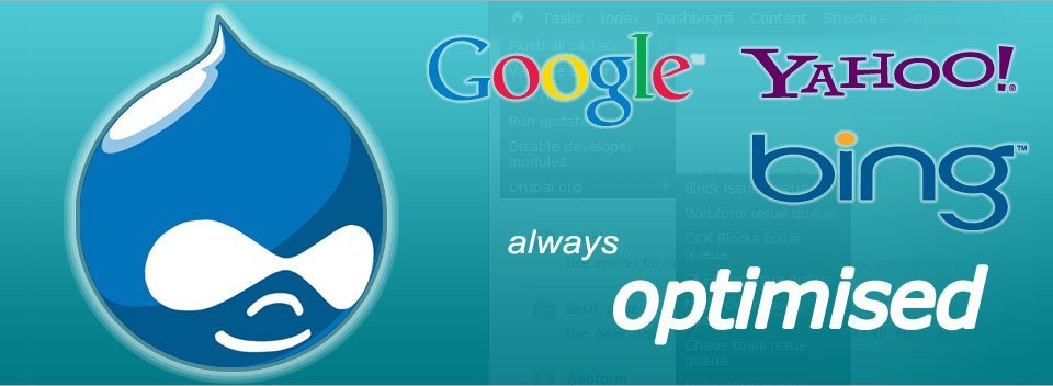 Affordable SEO Drupal Expert Services by The Kaanen Group 9 cnwintech seo drupal 2