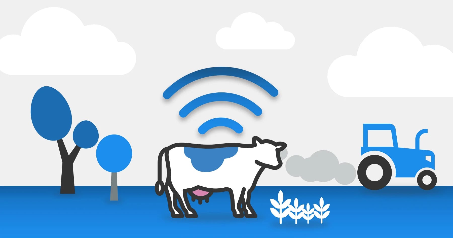 Easy 3 Tack Box Options for a Livestock Exhibitor, Useful and Functional 9 Easy Tack Box Options for a Livestock Exhibitor