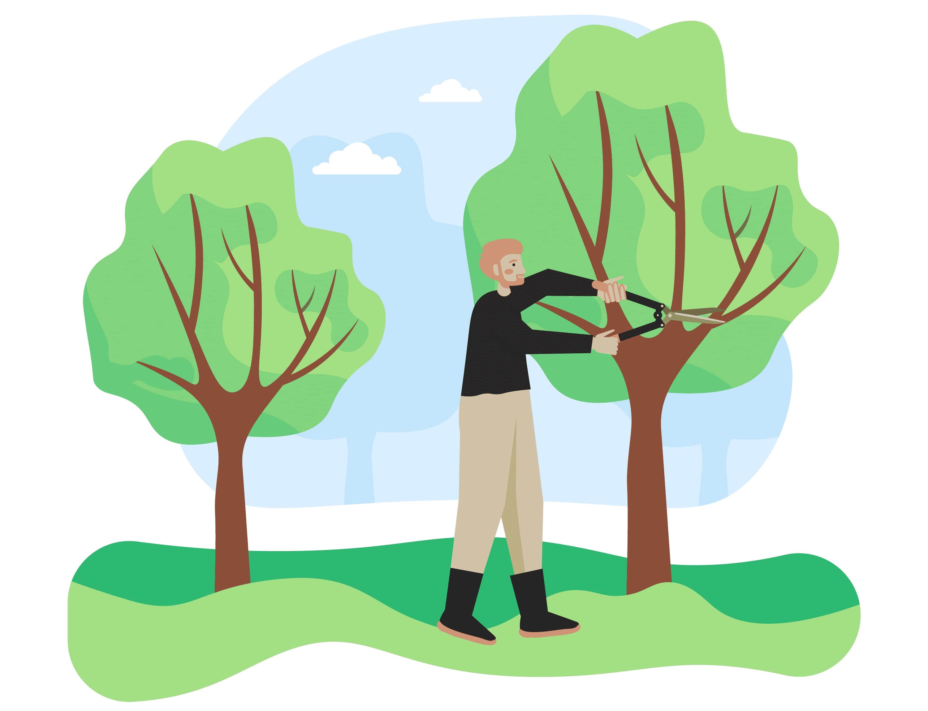 Easy Pruning 101 - Insurance, Qualifications, and Cost of Hiring an Arborist 9 Pruning 101 - Insurance, Qualifications, and Cost of Hiring an Arborist